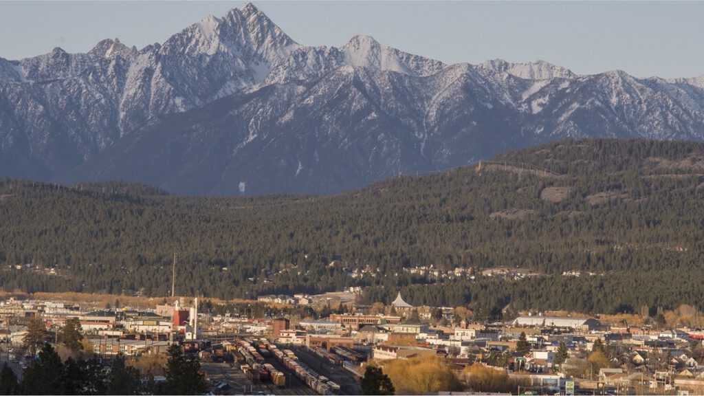 Cranbrook Housing Strategy Task Force