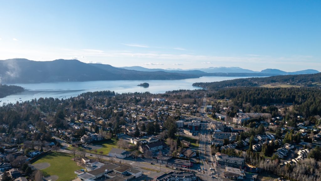 Saanich Housing Strategy Task Force